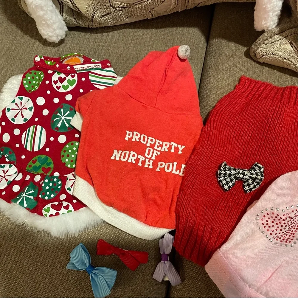 Bundle of small pet clothes